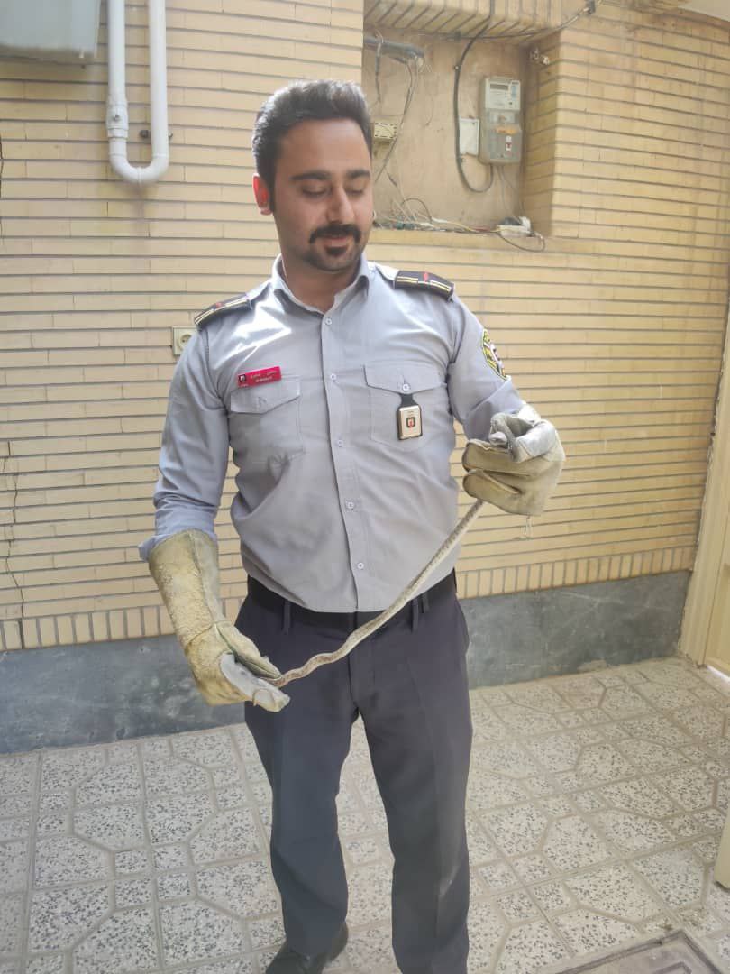 مار