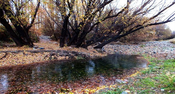 sorkheh-hesar-national-park-3