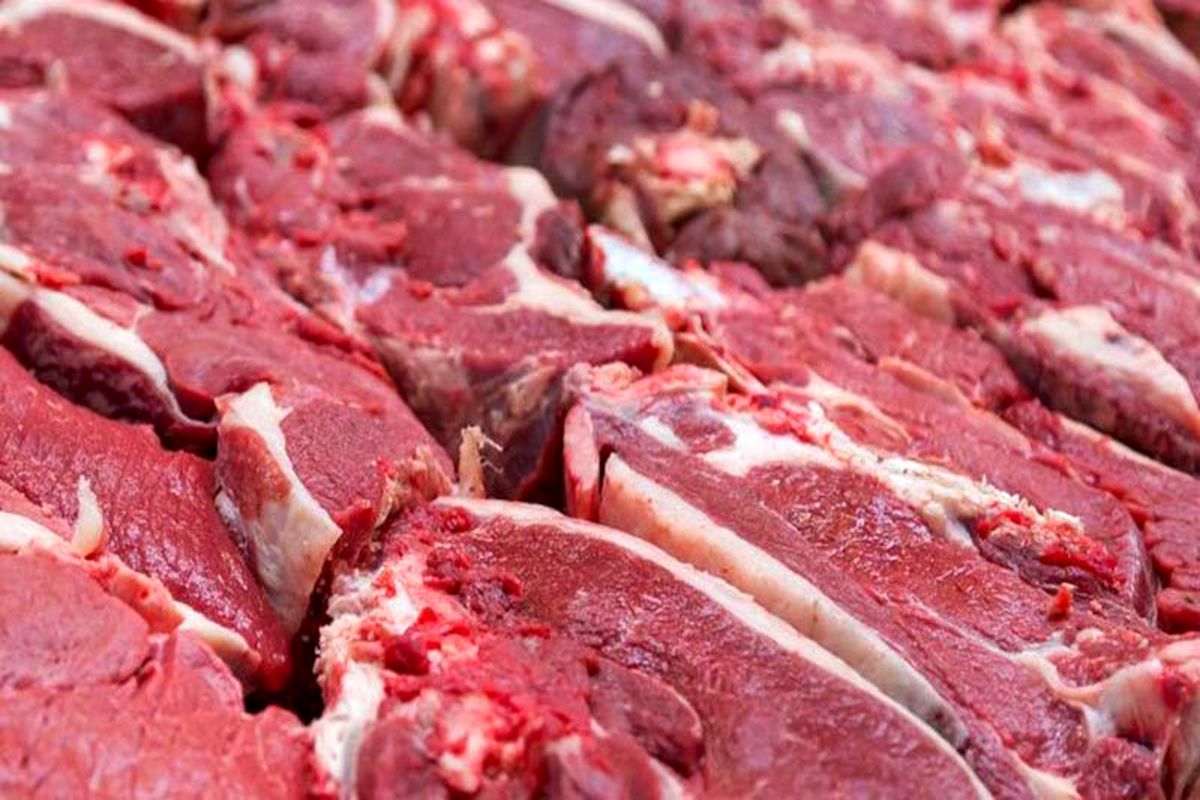 جزئیات توزیع گوشت گرم وارداتی در میادین