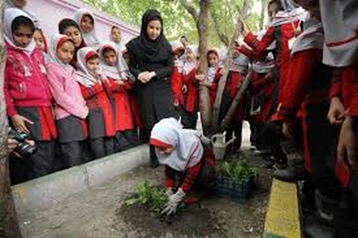 آموزش 1600 نفر ساعت آموزش کاشت گیاهان به دانش آموزان مدارس منطقه 13 