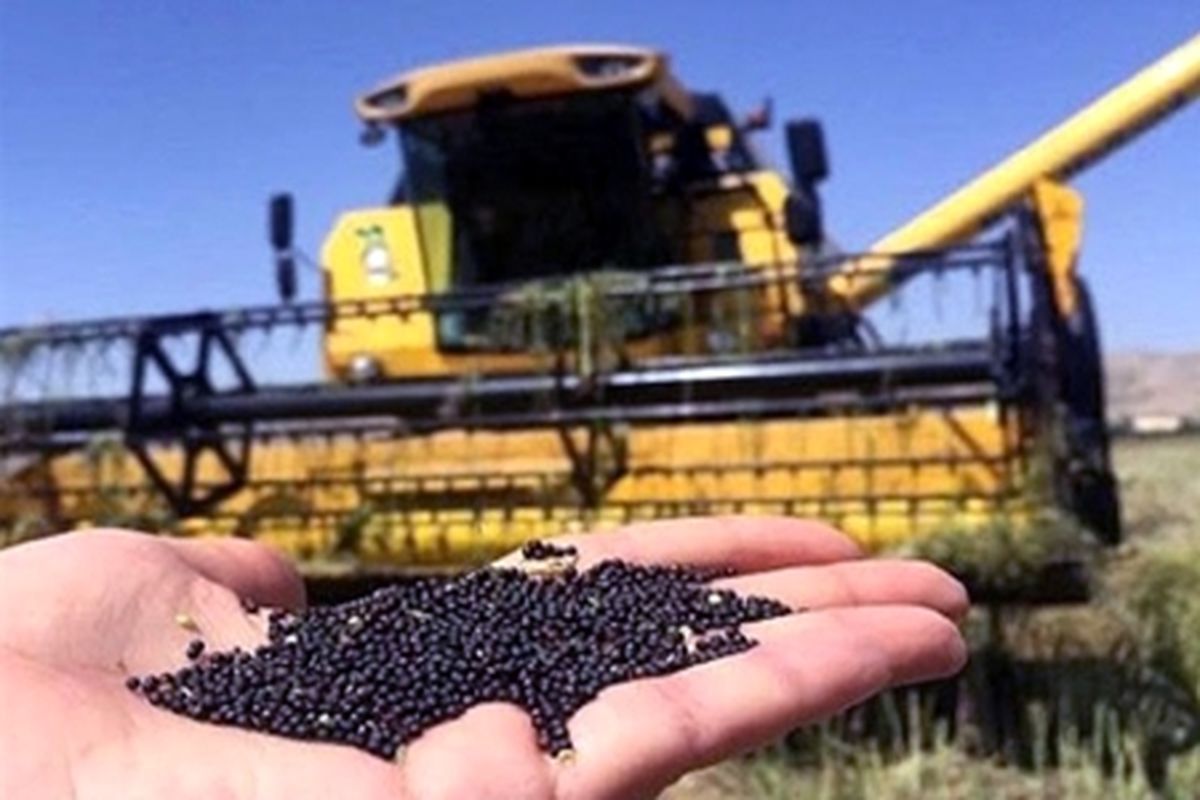 تولید بذرهای با کیفیت دانه‌های روغنی و محصولات کشاورزی با 18 پروژه ملی رونق می‌گیرد