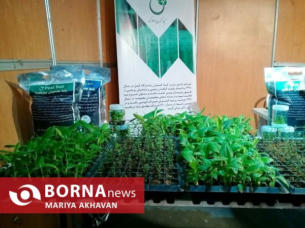  افتتاح نخستین نمایشگاه خدمات کسب و کار دانش بنیان گیلان