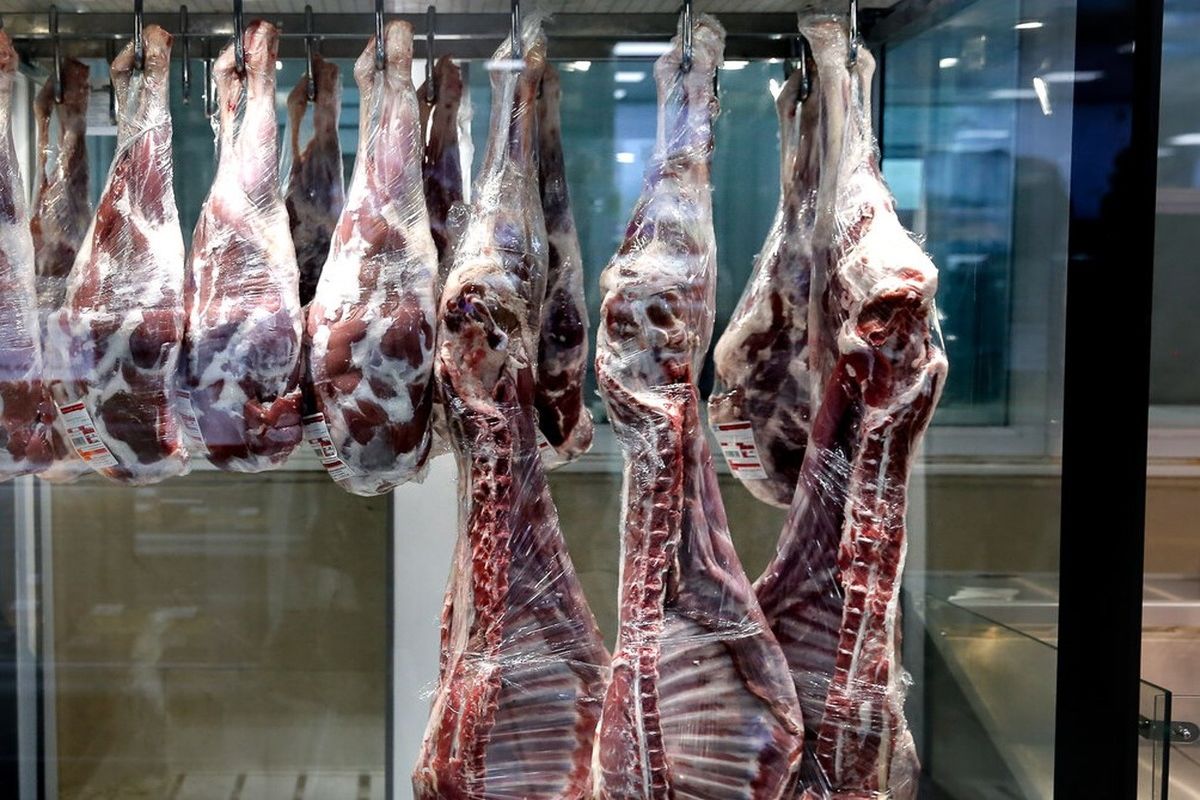 گوشت قرمز به حد کافی در بازار عرضه می‌شود / دامپروران از گرانی نهاده های دامی گله‌مندند