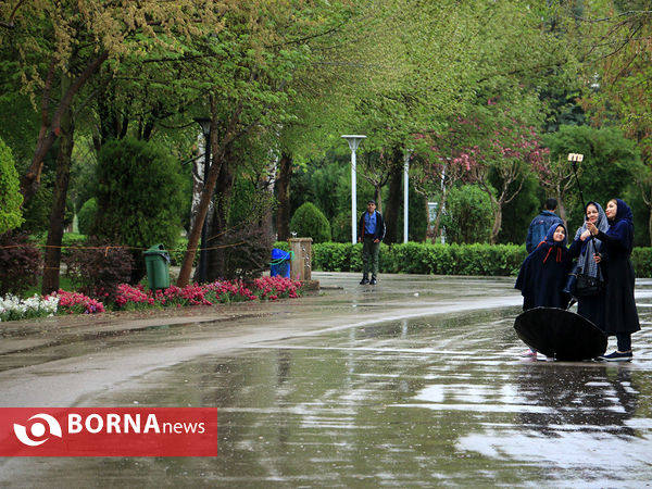 روز بارانی طبیعت در مشهد