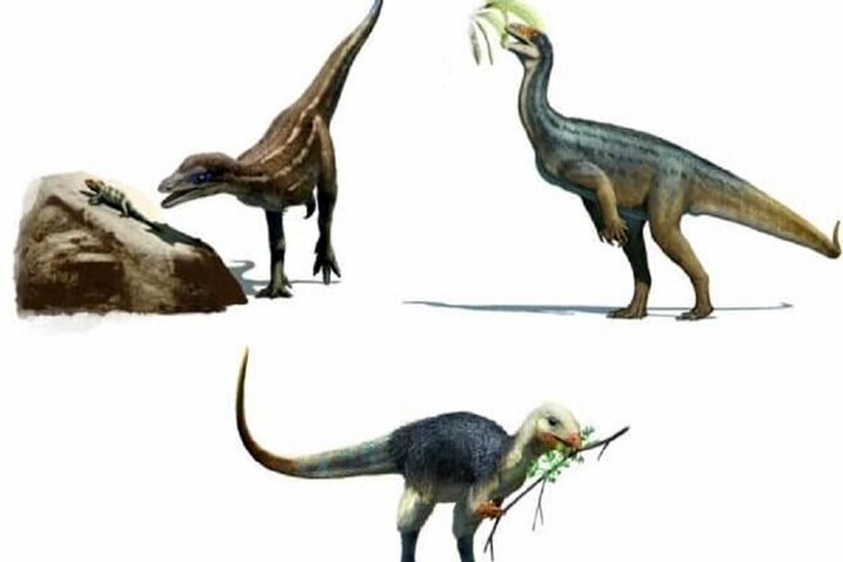 غذای مورد علاقه دایناسورها کشف شد!