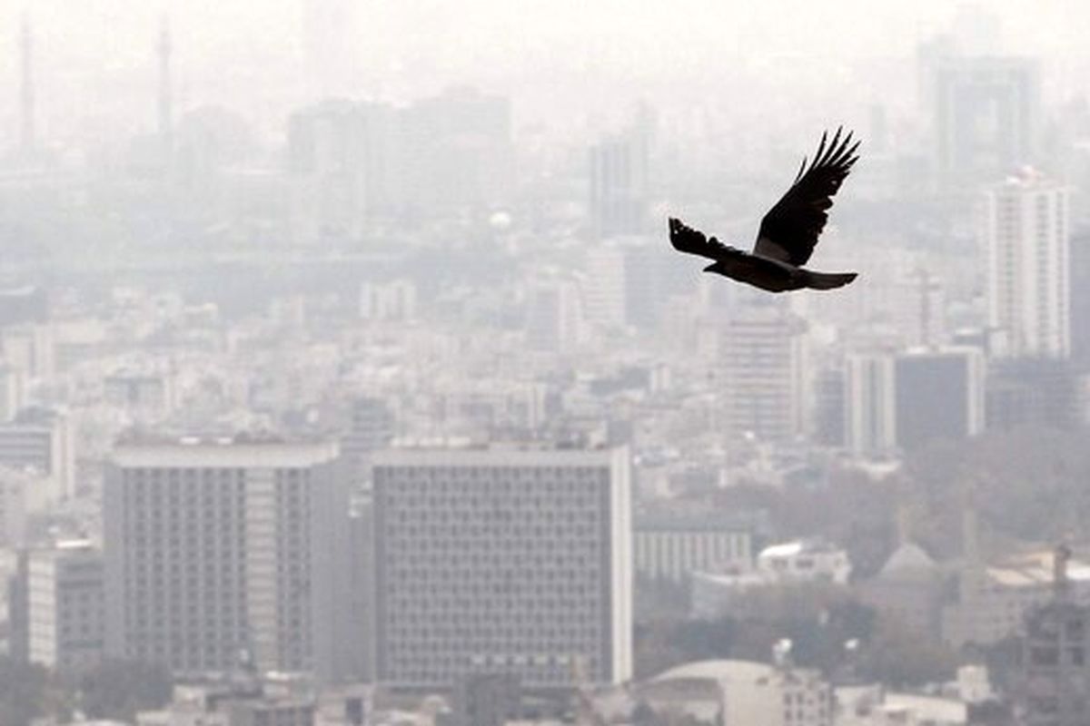 سالانه چند نفر از ساکنان مردم ایران بر اثر آلودگی هوا فوت می کنند؟
