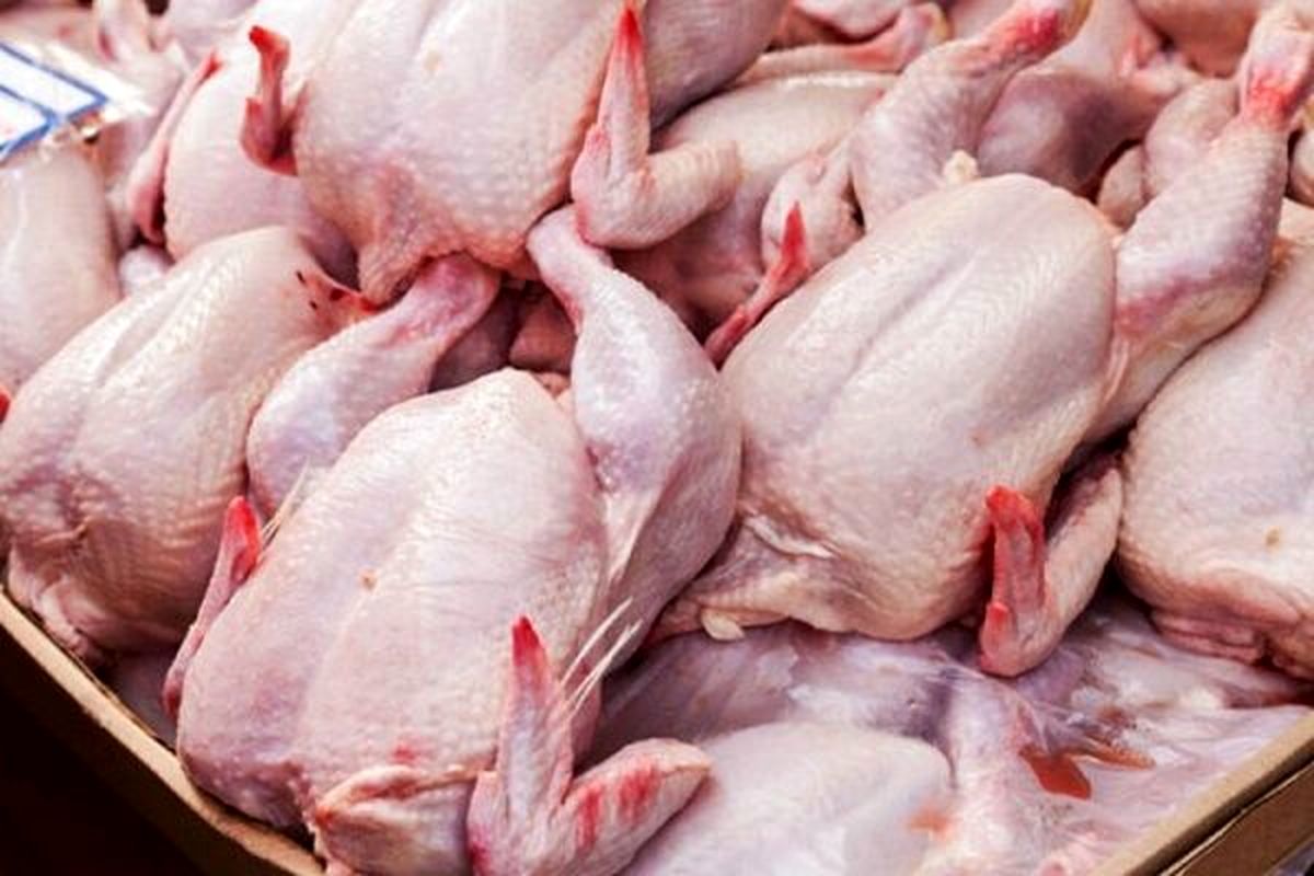 کاهش قیمت مرغ به 51 هزار تومان و کمتر از نرخ مصوب